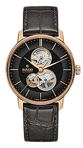 Rado Coupole Classic 734.3895.2.116